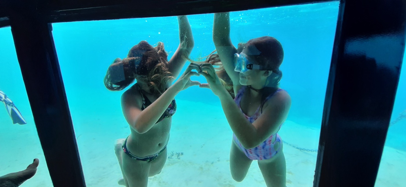 Faune du lagon de Bora Bora observée depuis la cabine sous-marine